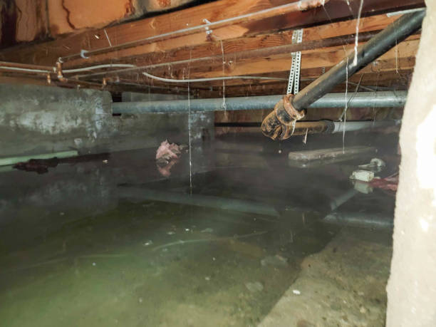 Best Water damage mitigation services  in Bonneauville, PA