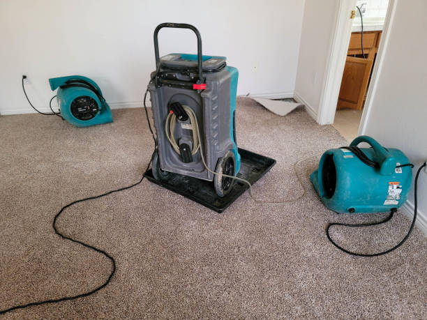 Best Basement water damage restoration  in Bonneauville, PA