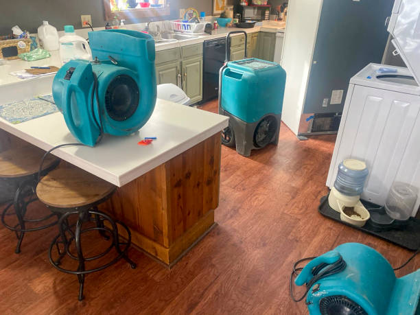 Best Mold removal after water damage  in Bonneauville, PA