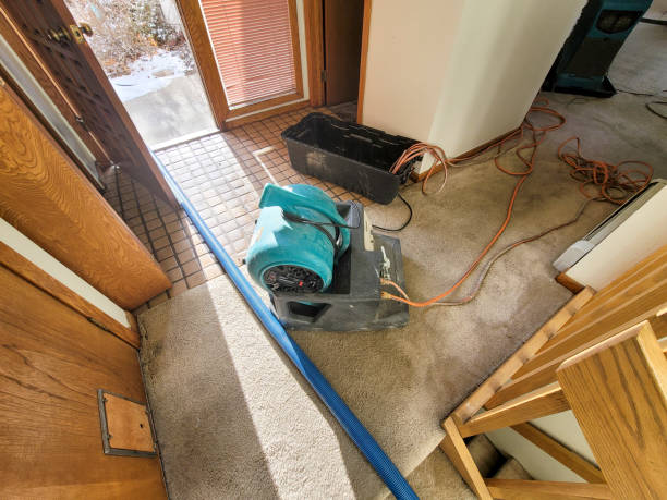 Best Fire Damage Restoration  in Bonneauville, PA