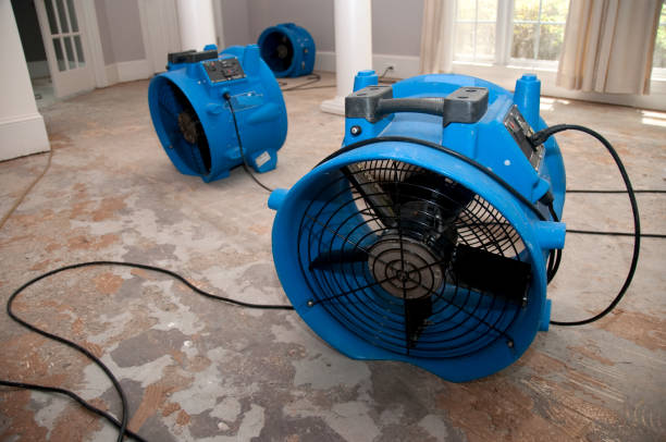 Best Local water damage restoration  in Bonneauville, PA