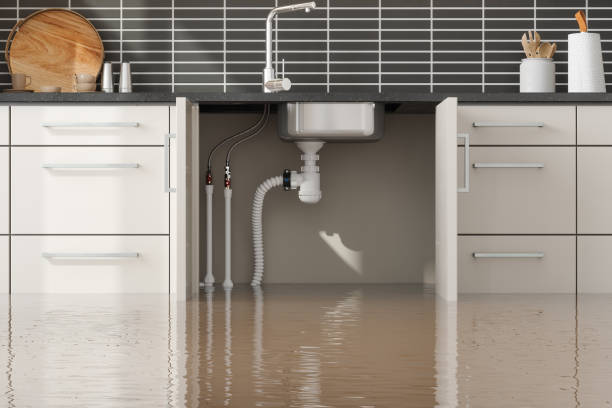 Best Professional water damage repair  in Bonneauville, PA