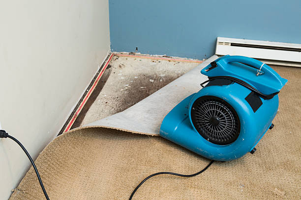 Best Local water damage restoration  in Bonneauville, PA